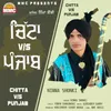 About Chitta Vs Punjab Song
